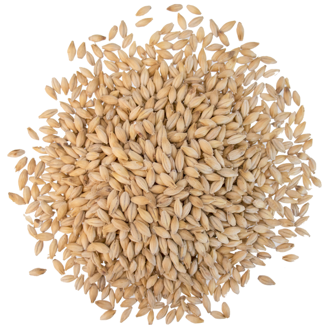 Malt - Crisp - No. 19 Floor Malted Maris Otter - Per Lb (Showroom Only)