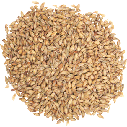 Malt - Ashburne Mild - Per Lb (Showroom Only)