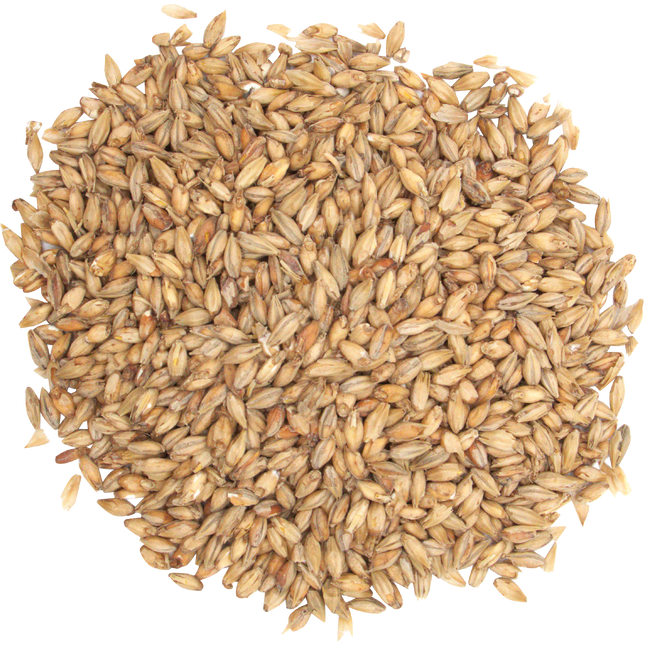 Malt - Ashburne Mild - Per Lb (Showroom Only)