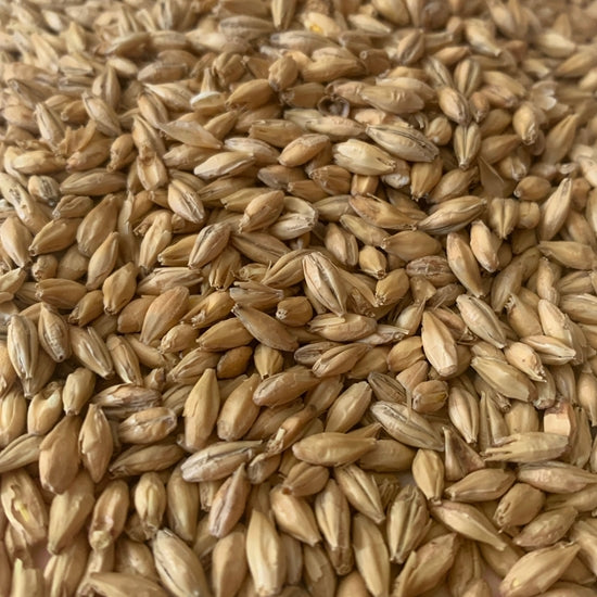 Malt - Rahr North Star Pils - Per Lb (Showroom Only)