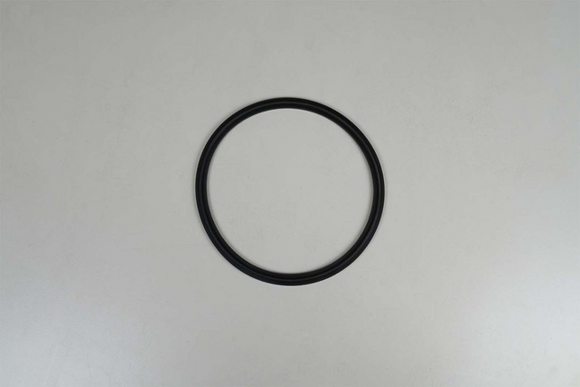 Gasket - 6 Sanitary