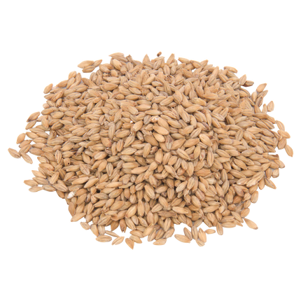Malt - Weyermann Eraclea Pilsner - Per Lb (Showroom Only)